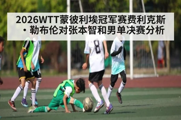 2026WTT蒙彼利埃冠军赛费利克斯·勒布伦对张本智和男单决赛分析